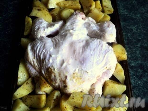 Выложить курицу на смазанный растительным маслом противень, по бокам разложить картофель. Запекать при температуре 200 градусов 1 час.