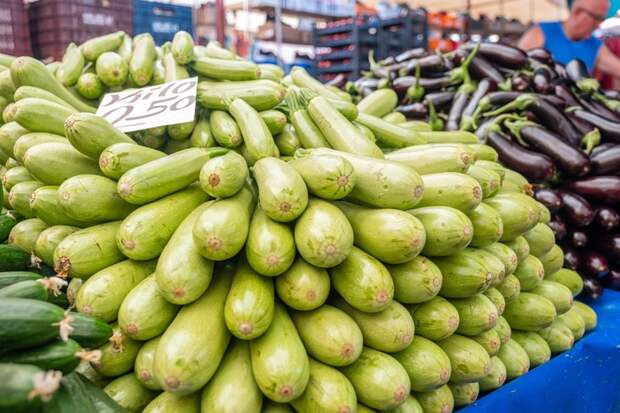 Что будет, если есть кабачки каждый день? 6 фактов про пользу и вред «кустовой тыквы»