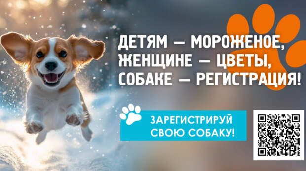 Социальная реклама с призывом маркировать домашних животных / Изображения: barnaul.org