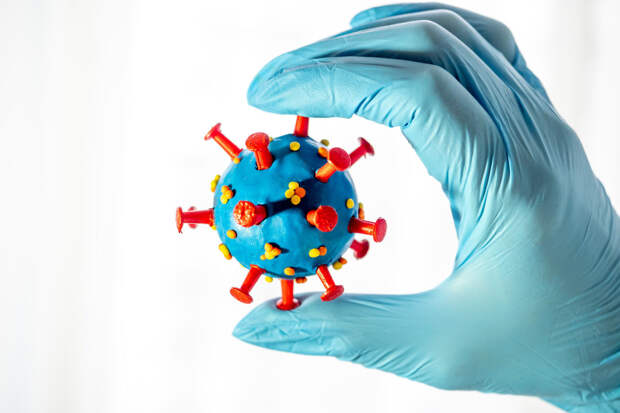 Доктор биологических наук заявил, что нужно бояться неизвестных вирусов, а не нового штамма Covid-19