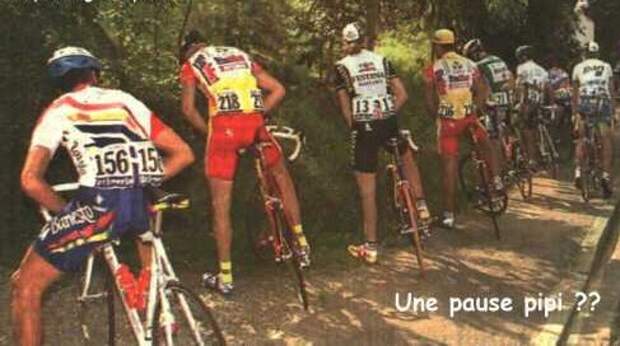 sport26