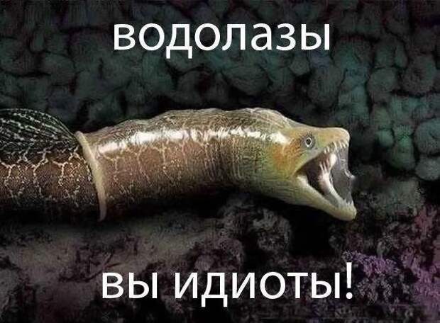 Будни оперативной группы водолазов водолазная работа, водолазы, юмор