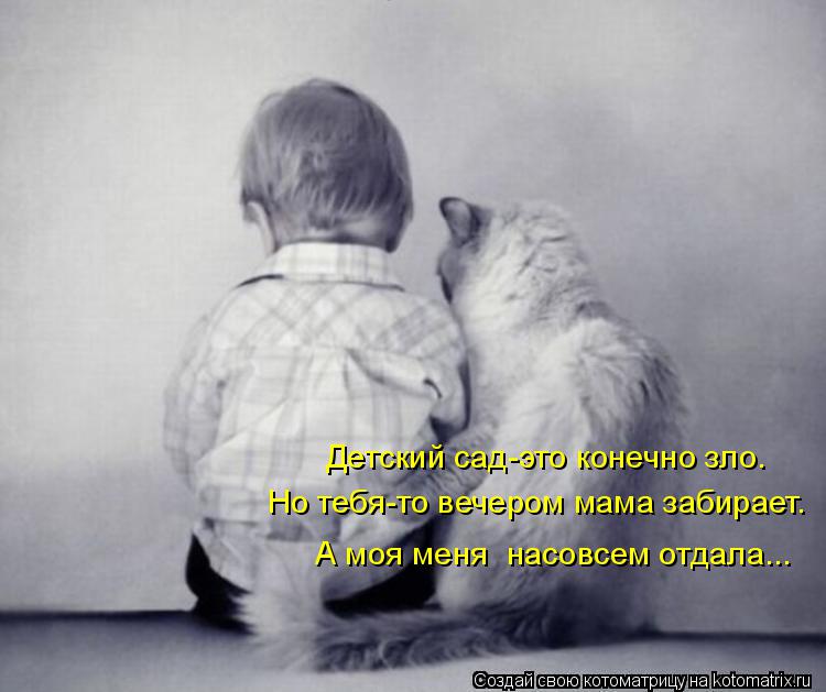 Котоматрица: Детский сад-это конечно зло. Но тебя-то вечером мама забирает. А моя меня  насовсем отдала...