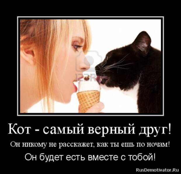 Демотиваторы. О наболевшем...О диете!