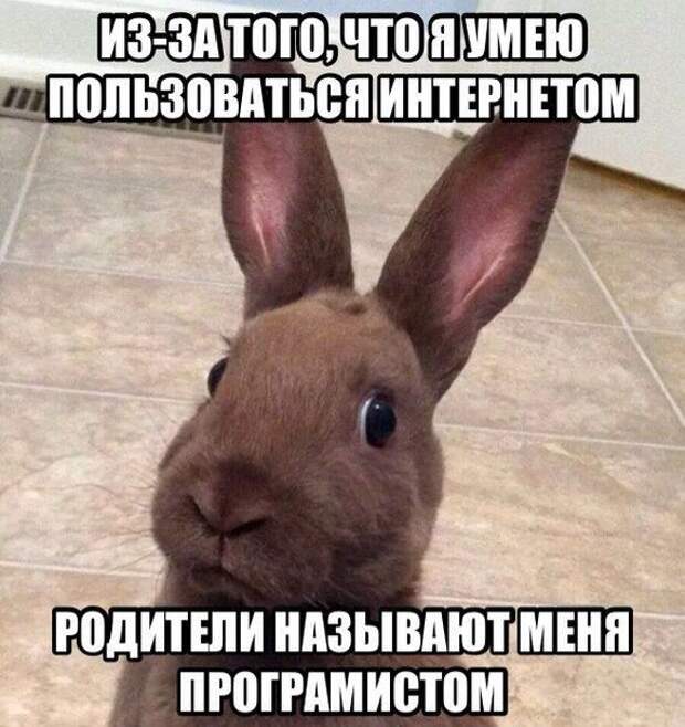 Новый год на носу!