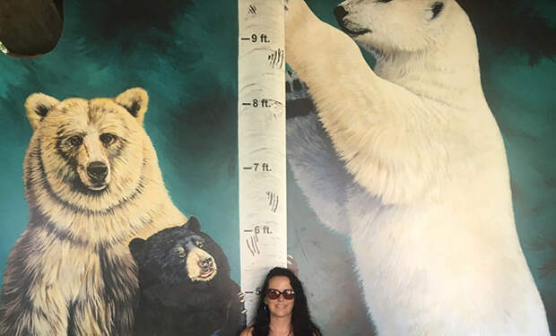 Реальный размер белого медведя в сравнении с человеком. Рост на задних лапах превышает 3,5 метра