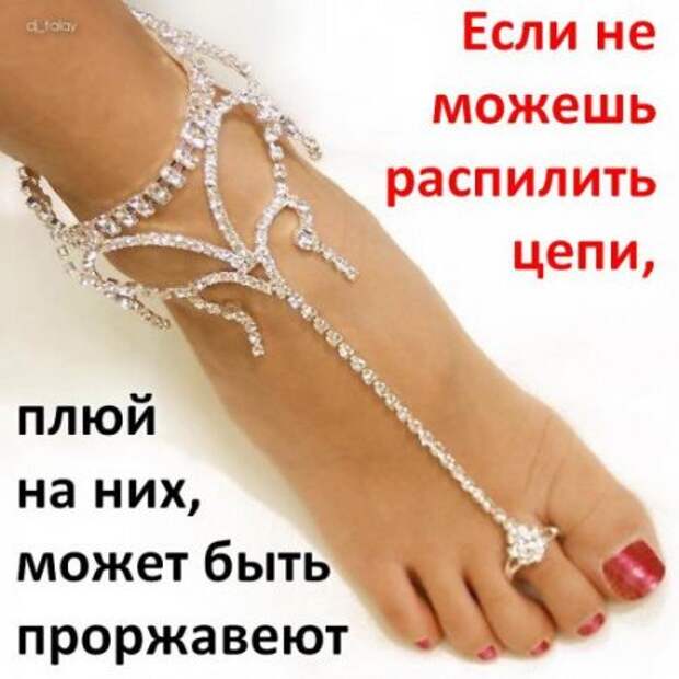 Афоризмы и прикольные анекдоты в картинках.