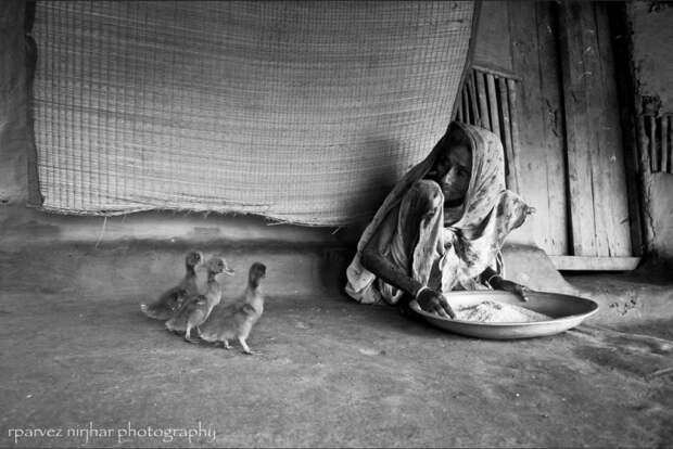 Жизнь - прекрасна!