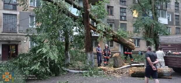 Улетели крыши школ и не только: кадры последствий урагана на Одесчине