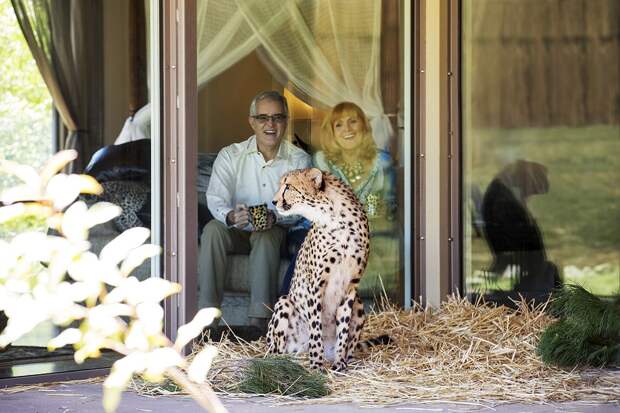 Jamala Wildlife Lodge - необычный отель в зоопарке, Австралия. Фото
