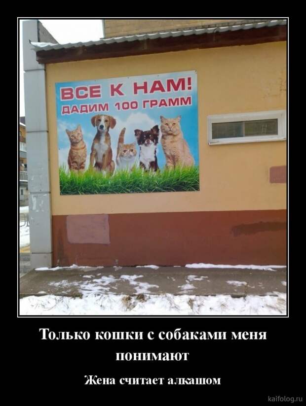 Весёлые демотиваторы (35 картинок)