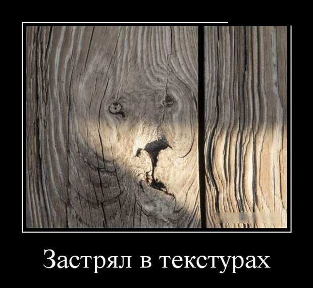 Демотиваторы (30 фото)