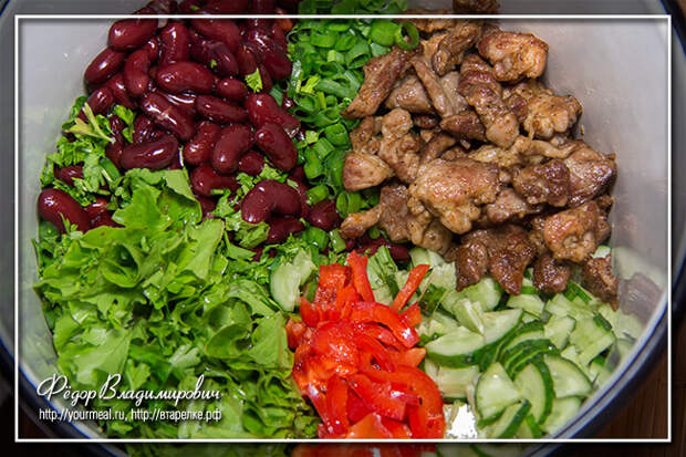 Салат из свежих овощей, фасоли и жареной свинины