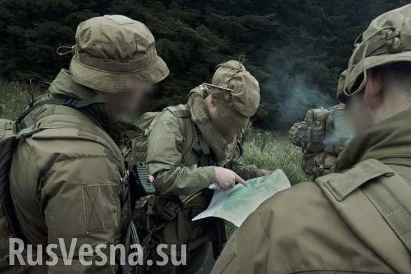 Центр спецопераций готовит удары по позициям карателей на Донбассе (ВИДЕО) | Русская весна