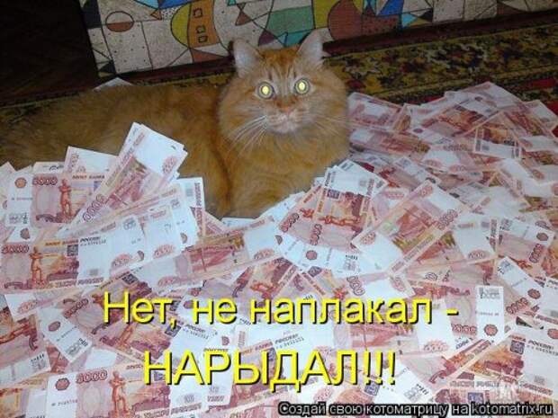 Воскресная котоматрица (16 шт)