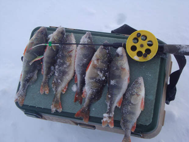 Рыбалка по последнему льду