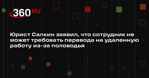 Юрист Салкин заявил, что сотрудник не может требовать перевода на удаленную работу из-за половодья