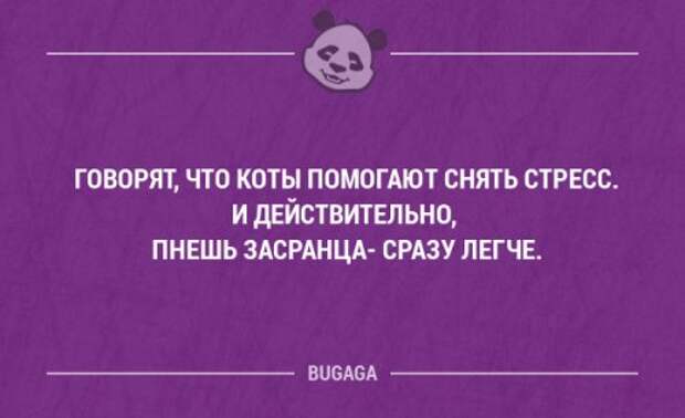 Прикольные высказывания в картинках с надписями. Часть 51 (18 шт)