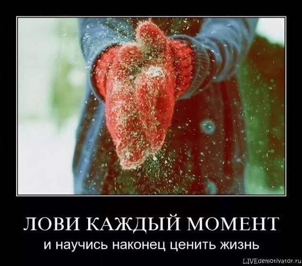 Прикольные демотиваторы с надписями. Подборка chert-poberi-dem-chert-poberi-dem-52310504012021-10 картинка chert-poberi-dem-52310504012021-10