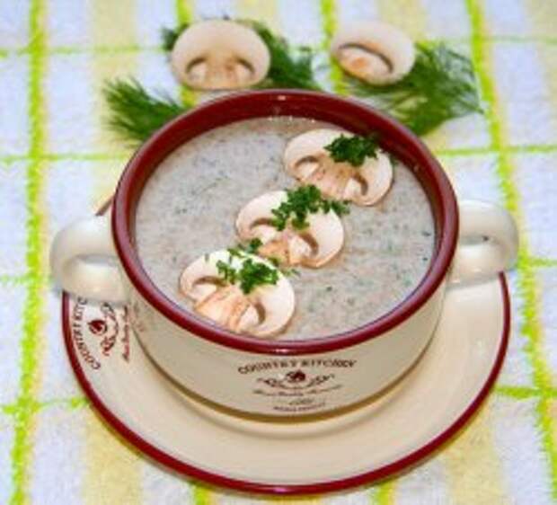 Грибной суп из шампиньонов – готовим вкусные и ароматные первые блюда