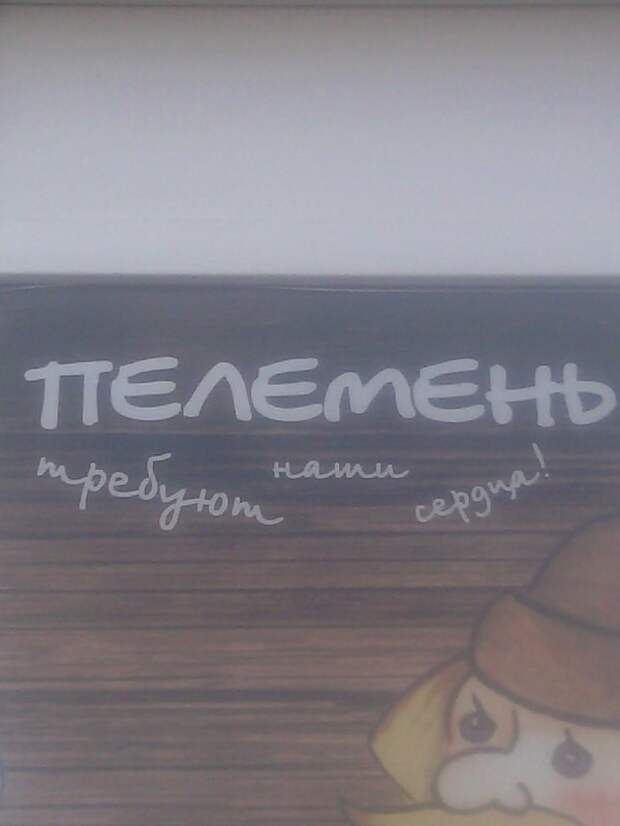 Маркетинг и рекламинг !