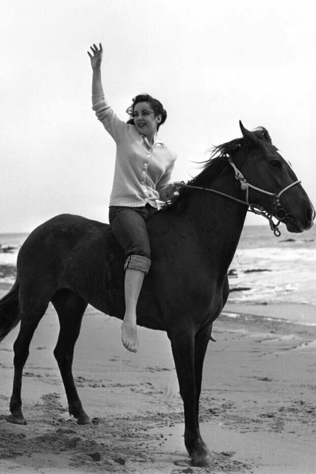 Элизабет Тейлор верхом на лошади, приблизительно 1949 год звезды, знаменитости, лето, пляж, прошлое, ретро, фотография