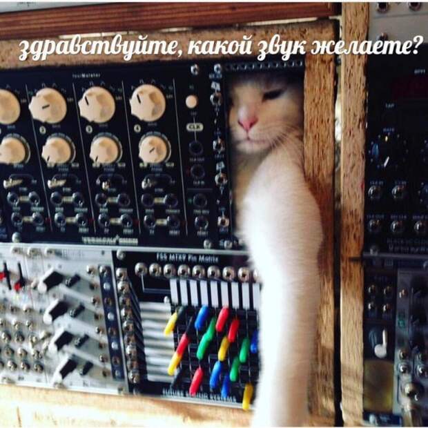 Нестандартный юмор :)