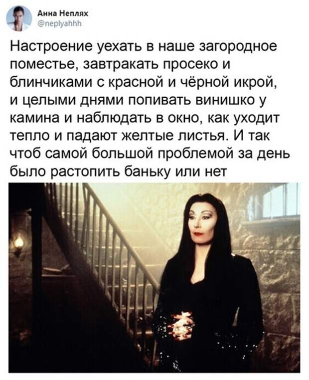 Смешные и поучительные скриншоты с просторов Рунета Смешные и поучительные скриншоты с просторов Рунета