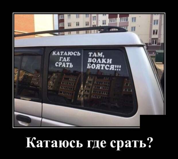 demotivatory-demotivator-smeshnye-demotivatory-demotivator-so-smyslom