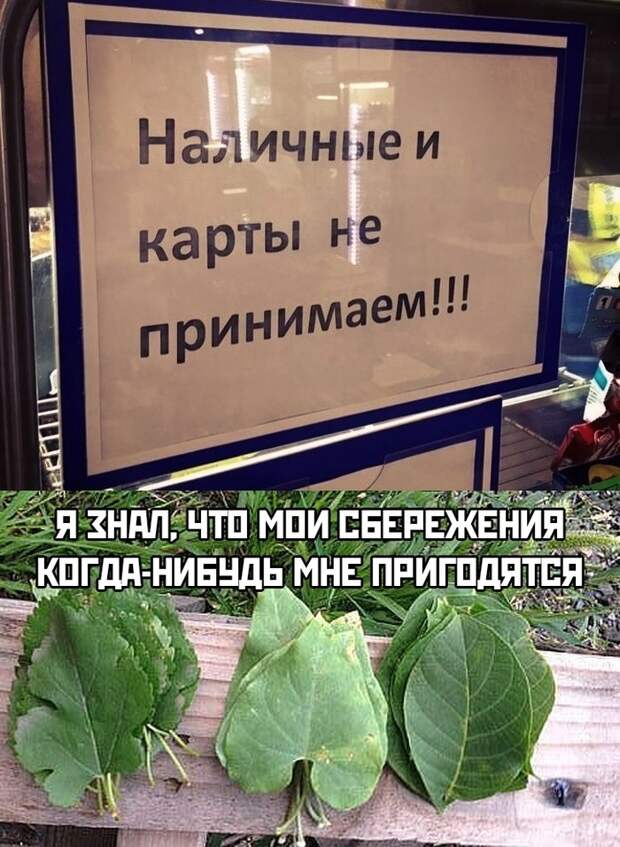 Я богат! Я богат!