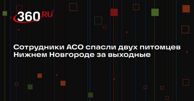Сотрудники АСО спасли двух питомцев Нижнем Новгороде за выходные