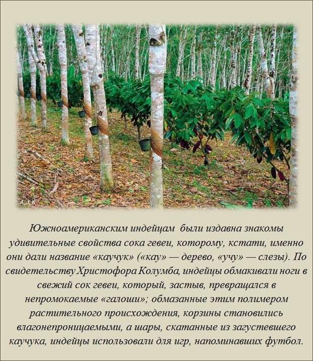 Интересные факты (20 фото)