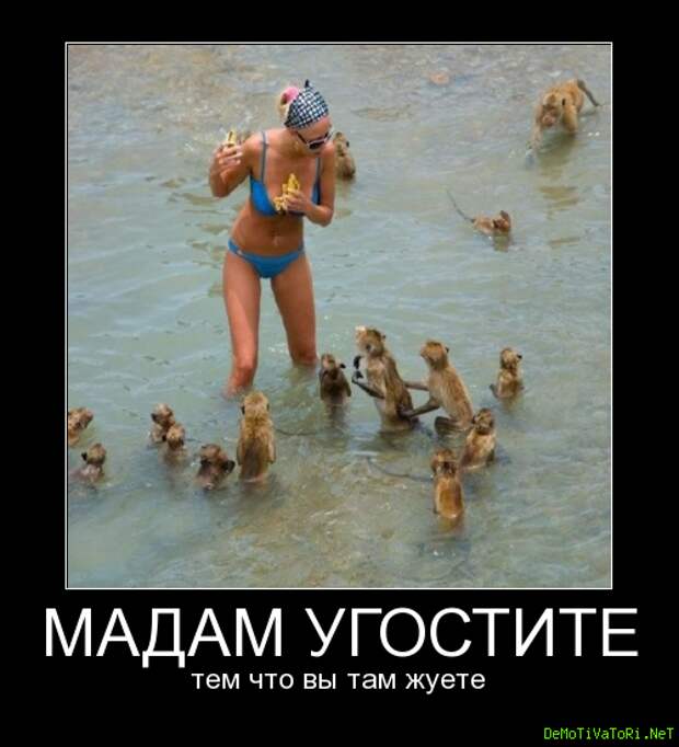 05de8fdd5ad6421f935b45dcf0885831