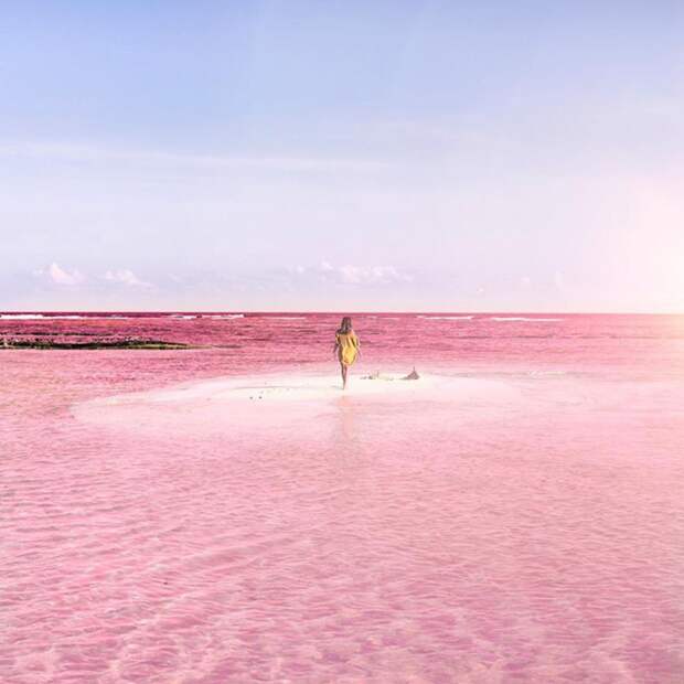 pink-lagoon-las-coloradas-mexico-1