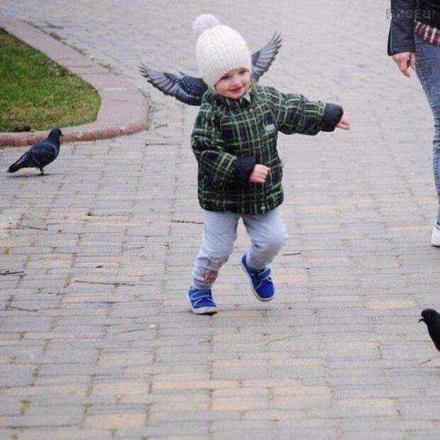 Когда кажется, взгляни второй раз!