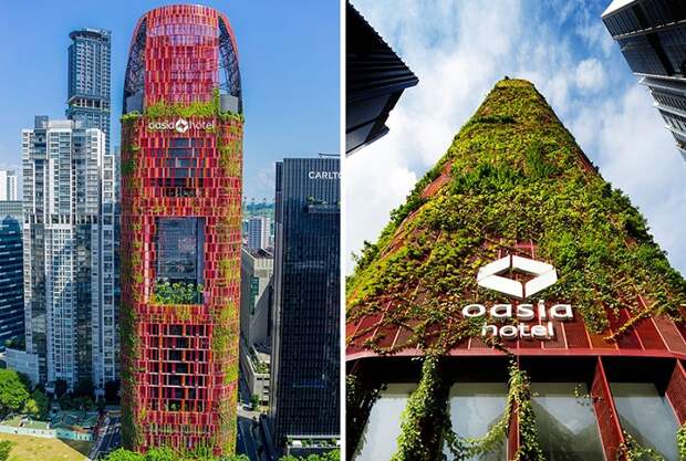 Оasia Hotel Downtown - проект отеля с вертикальным садом.