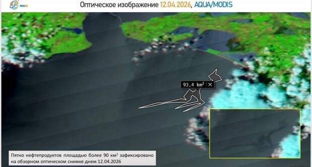 Экологи фиксируют крупные нефтяные пятна в море площадью до 100 км², они продолжают дрейфовать к побережью.