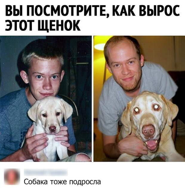 Прикольные и смешные картинки