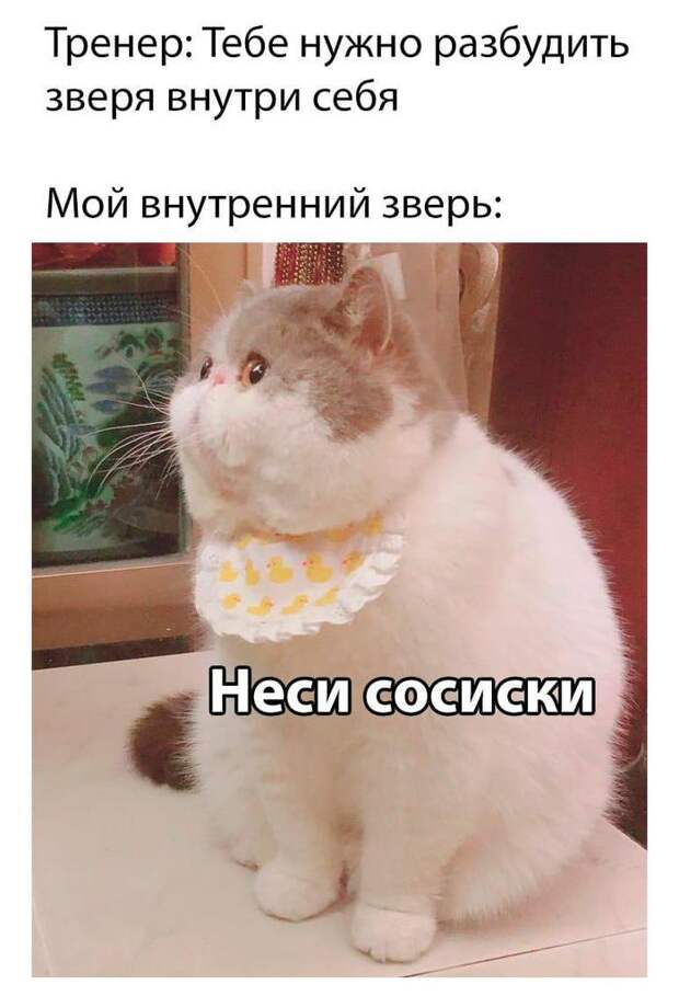 Разбуди зверя внутри себя Разбуди зверя внутри себя