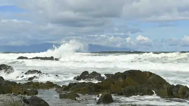 Буксир Тихоокеанского флота спас рыбаков в Японском море