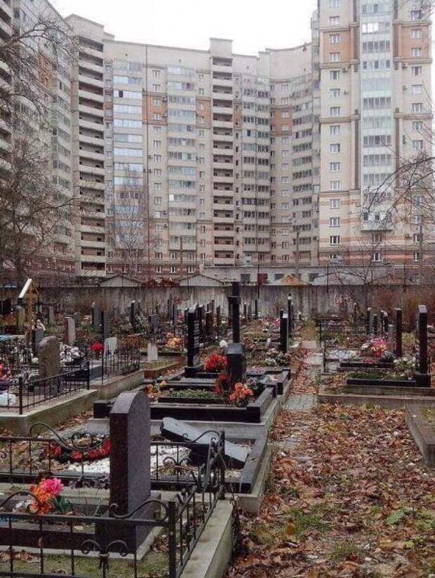 Приколы