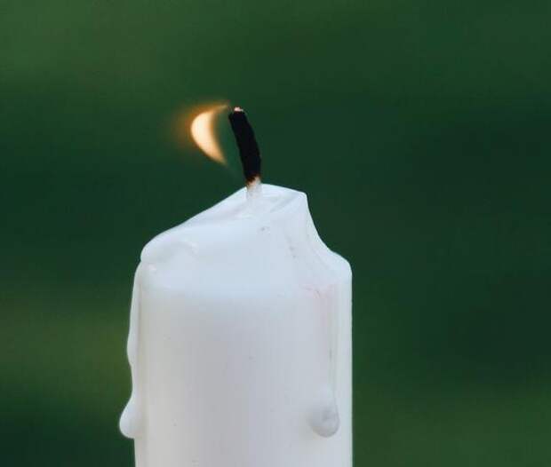 Александра Олейникова похоронят на Троекуровском кладбище