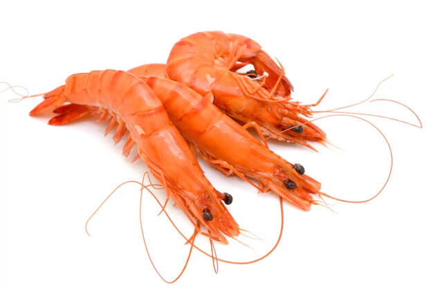 Ученые выявили вирус в креветках и рыбе, вызывающий слепоту у человека