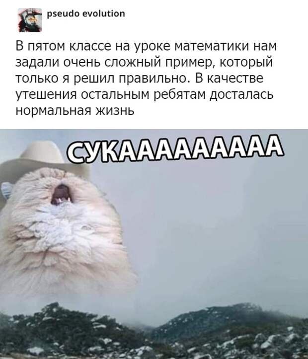 www.vsyako.net
