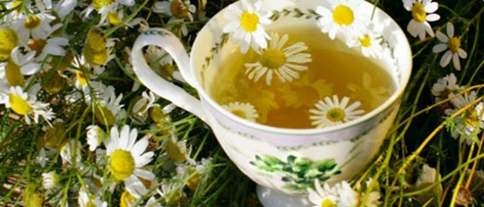 Печень можно вылечить травами. 5 простейших рецептов