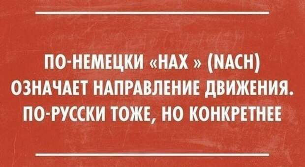 ЭТИ ФРАЗЫ НЕСОМНЕННО ПОДНИМУТ ВАШЕ НАСТРОЕНИЕ
