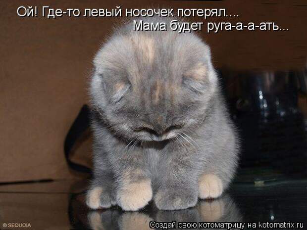 Котоматрица: Ой! Где-то левый носочек потерял.... Мама будет руга-а-а-ать...