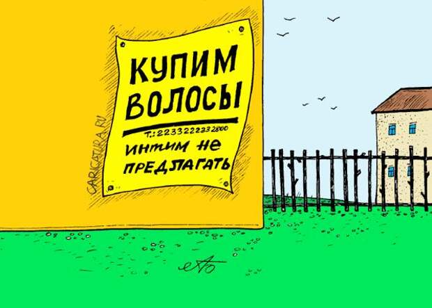 Забавные карикатуры