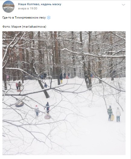 Фото дня: любители «ватрушек» в Тимирязевском лесу