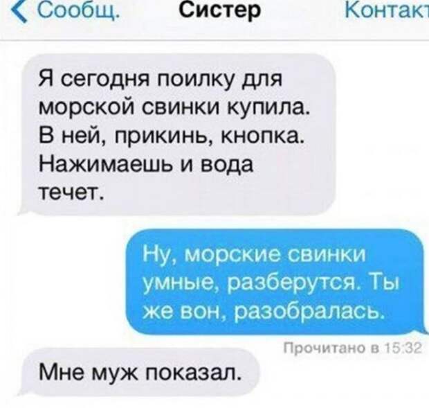 Смешные переписки
